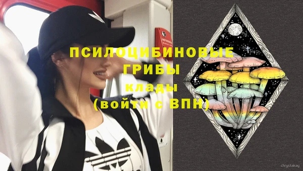 тгк Баксан